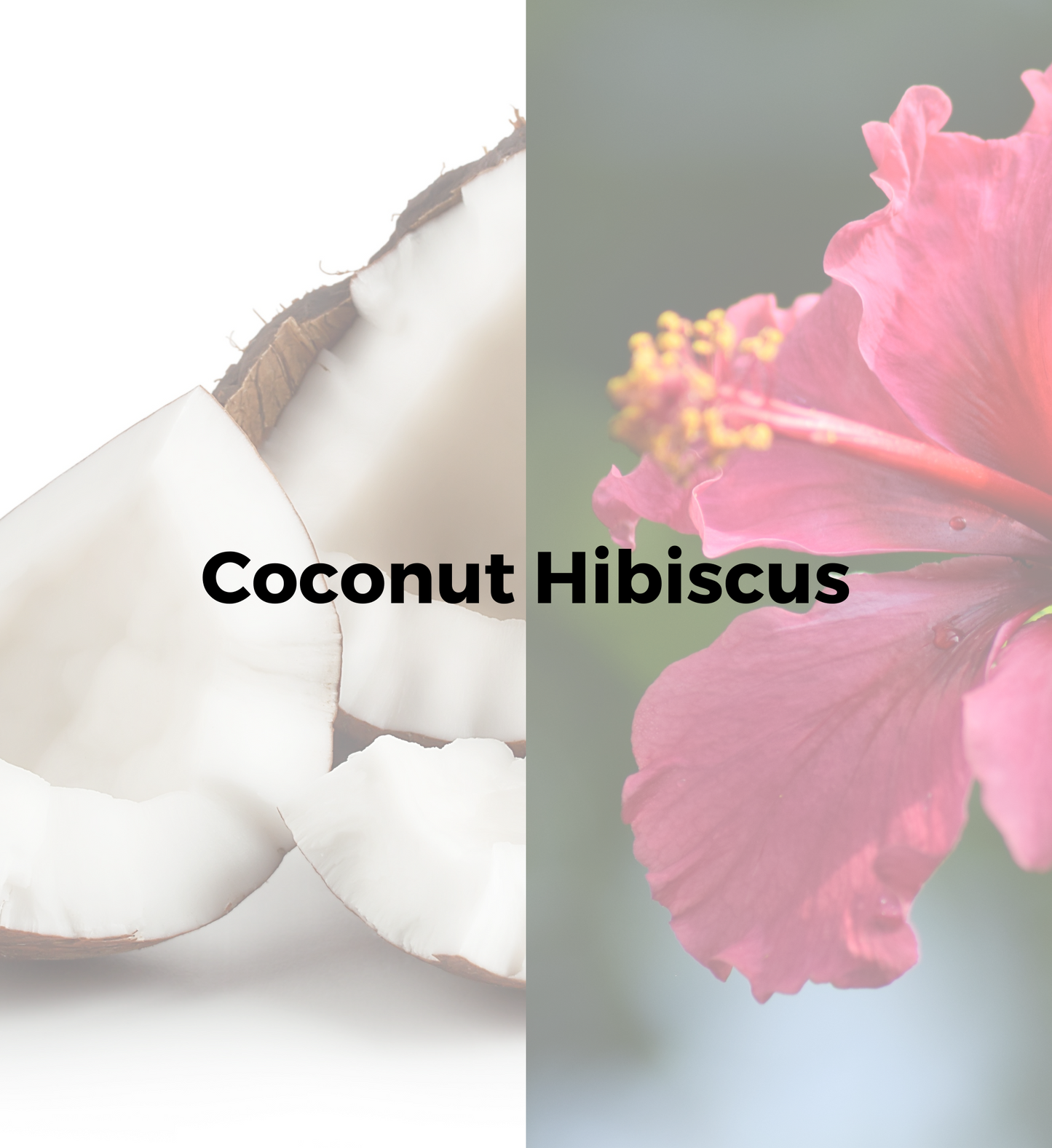Coconut Hibiscis